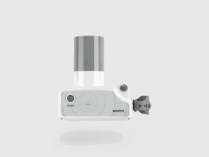D1P24
