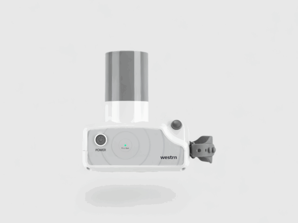 D1P24